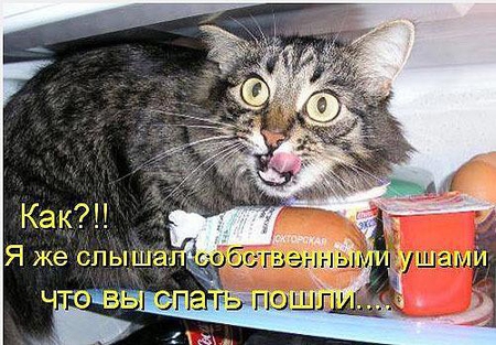 http://3.imgbb.ru/1/a/b/1ab7742cba6a9dd1e29e62f01edfd8f1.jpg