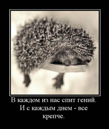 http://3.imgbb.ru/7/0/0/700f9864044aa1bab08e3e8e4c81db8a.jpg