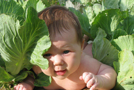 Картинка 23 из 2826